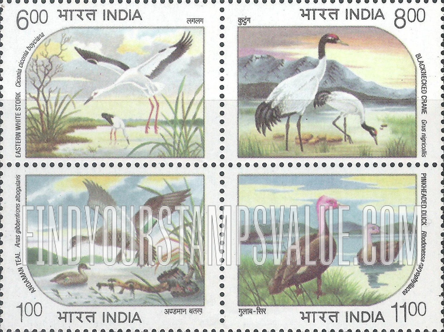 FindYourStampsValue: Republic of India: Endangered waterbirds - भारत गणराज्य: विलुप्तप्राय जलपक्षी