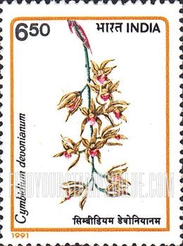 FindYourStampsValue: Republic of India: Cymbidium devonianum - भारत गणराज्य: सिम्बीडियम डेवोनियानम