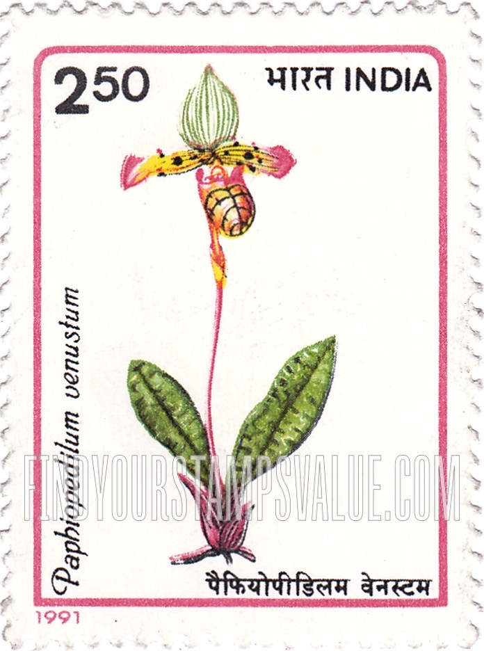FindYourStampsValue: Republic of India: Paphiopedilum venustum - भारत गणराज्य: पैफियोपीडिलम वेनस्टम