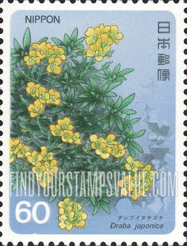 FindYourStampsValue: Draba Japonica - ナンブイヌナズナ
