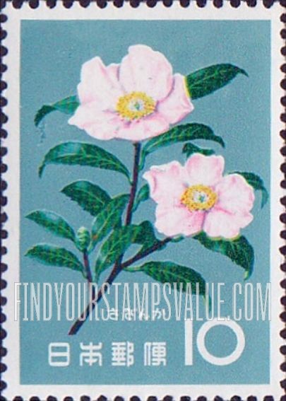 FindYourStampsValue: Camellia sasanqua - さざんか