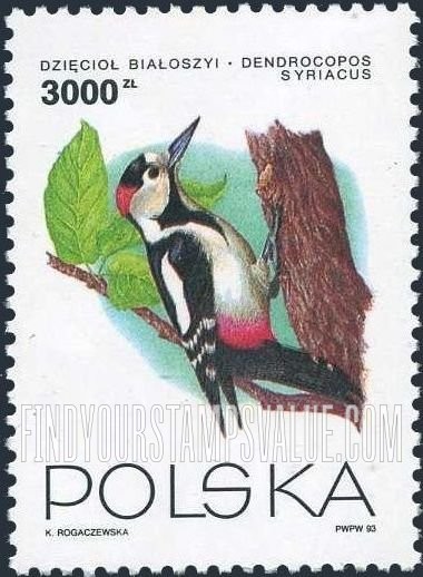 FindYourStampsValue: Birds: Dendrocopos syriacus