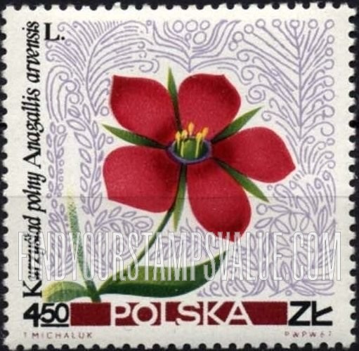 FindYourStampsValue: Flowers: Common pimpernel