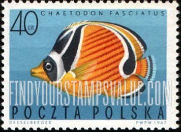 FindYourStampsValue: Tropical fish: Barred butterflyfish