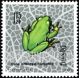 FindYourStampsValue: European tree frog