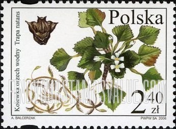 FindYourStampsValue: Endangered Flora: Trapa natans