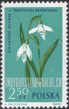 FindYourStampsValue: Flowers: Snowdrop