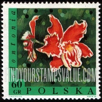 FindYourStampsValue: Exotic Flowers: Odontonia