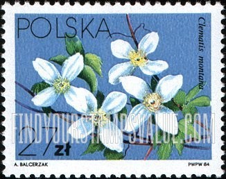FindYourStampsValue: Local Flowers (Clematis Varieties): Montana
