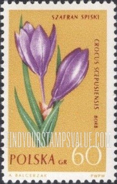 FindYourStampsValue: Flowers: Crocus
