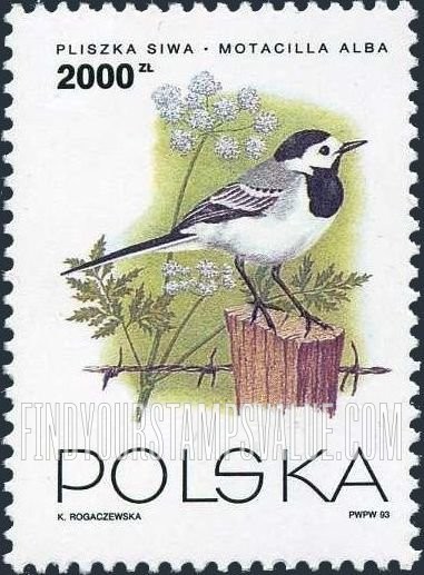FindYourStampsValue: Birds: Motacilla alba