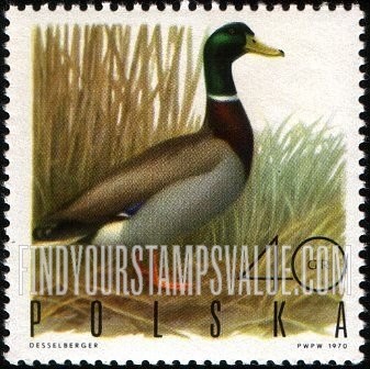 FindYourStampsValue: Game Birds: Mallard drake
