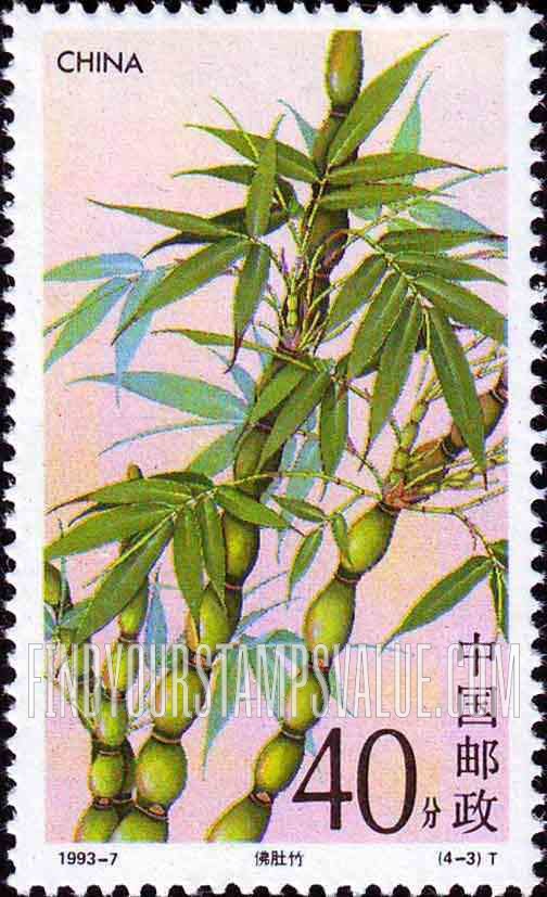 FindYourStampsValue: Bamboo: Bambusa ventricosa - 竹子: 佛肚竹