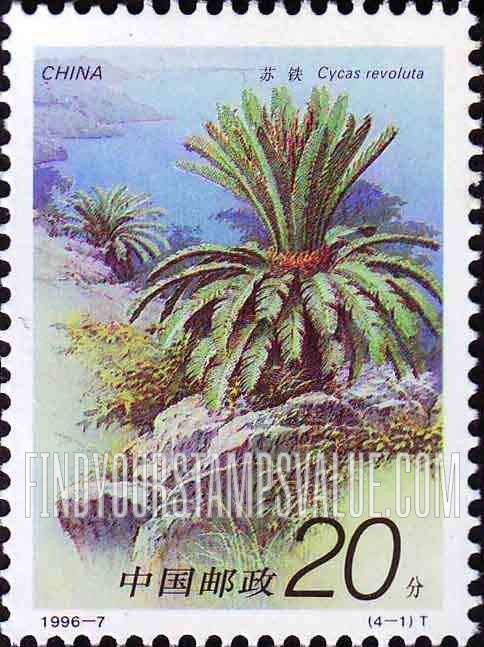 FindYourStampsValue: Iron Trees: Cycas revoluta - 铁树: 苏铁