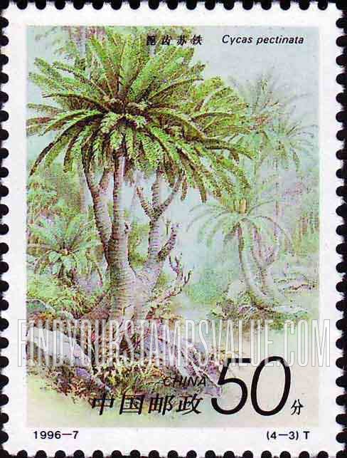 FindYourStampsValue: Iron Trees: Cycas pectinata - 铁树: 蓖齿苏铁