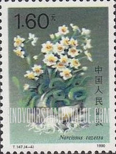 FindYourStampsValue: Narcissus: Narcissus Tazetta - 水仙花