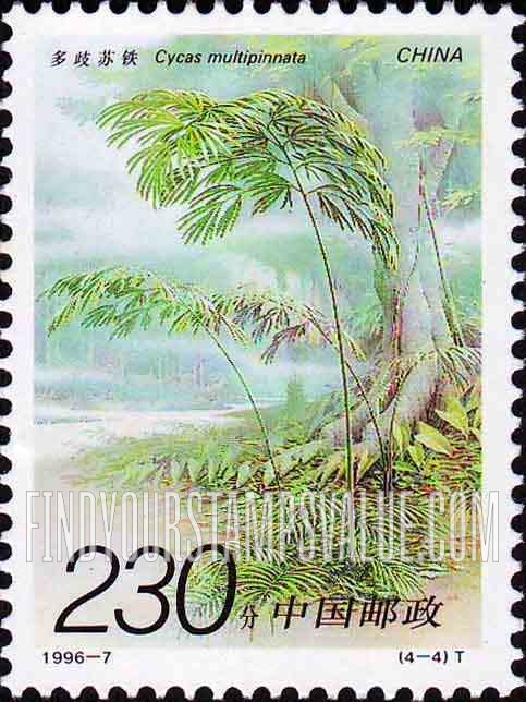 FindYourStampsValue: Iron Trees: Cycas multipinnata - 铁树: 多歧苏铁