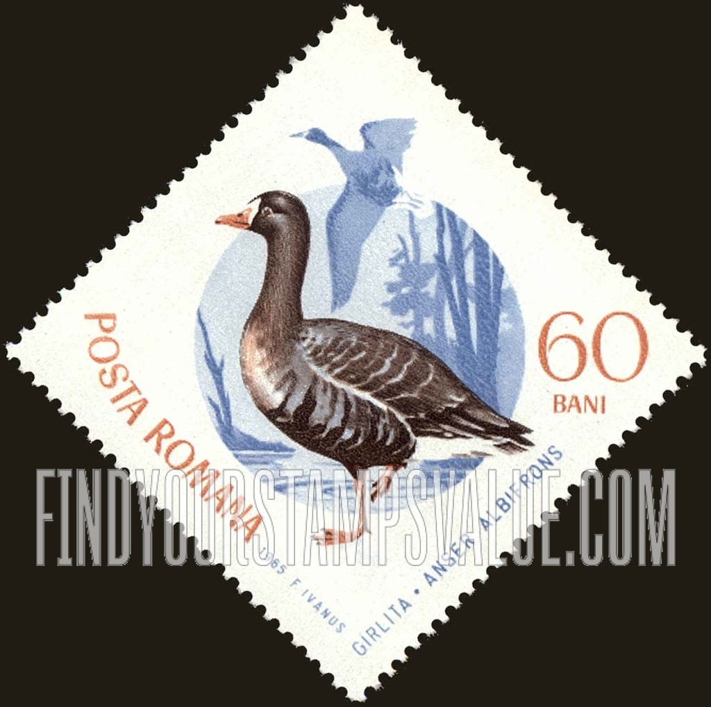 FindYourStampsValue: Birds: White-fronted goose