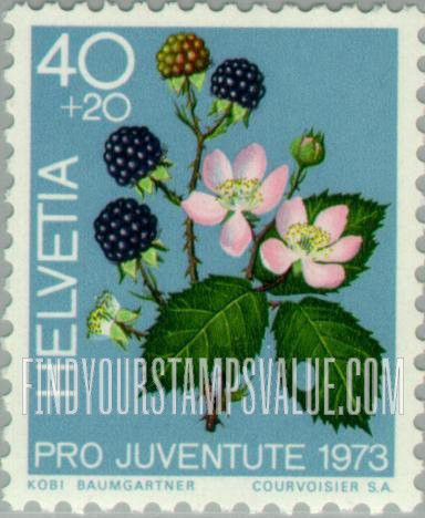 FindYourStampsValue: Semi-Postal, Fruits of the Forest: Blackberries