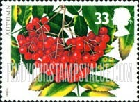 FindYourStampsValue: Great Britain (United Kingdom): Autumn Fruits - Rowanberries