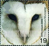 FindYourStampsValue: Great Britain (United Kingdom): Above & Beyond - Barn Owl's Head, 3rd Millennium Conservation Projects, Muncaster