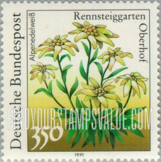 FindYourStampsValue: Flowers: Alpenedelweiss