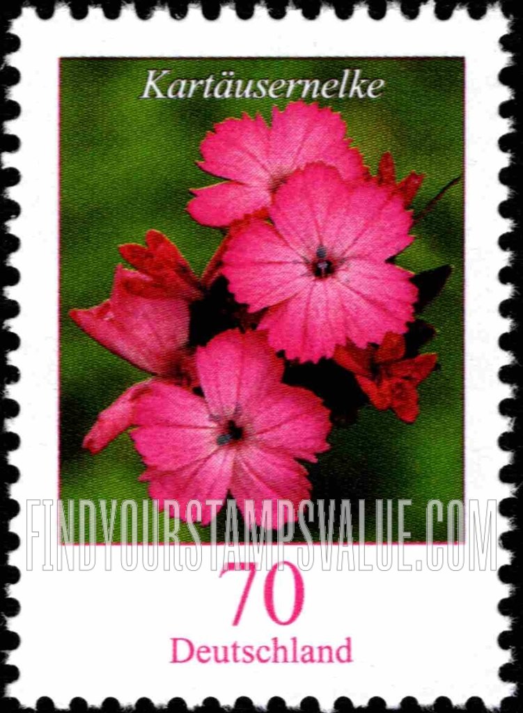 FindYourStampsValue: Flowers: Kartaüsernelke (clusterhead pink)