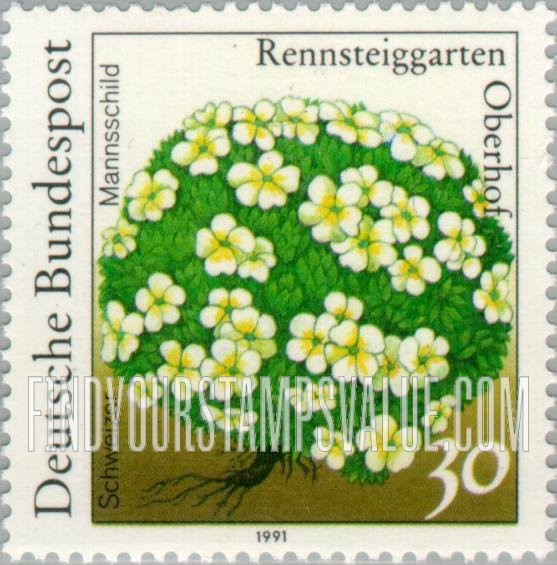 FindYourStampsValue: Flowers: Schweizer mannschild