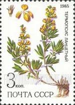 FindYourStampsValue: Russia: USSR, Medicinal Plants from Siberia - Thermopsis Lanceolata