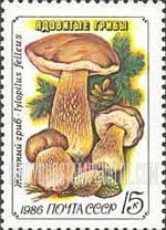 FindYourStampsValue: Russia: USSR, Toadstools - Tylopilus Felleus