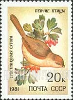 FindYourStampsValue: Russia: USSR, Song Birds - Sutora Webbiana