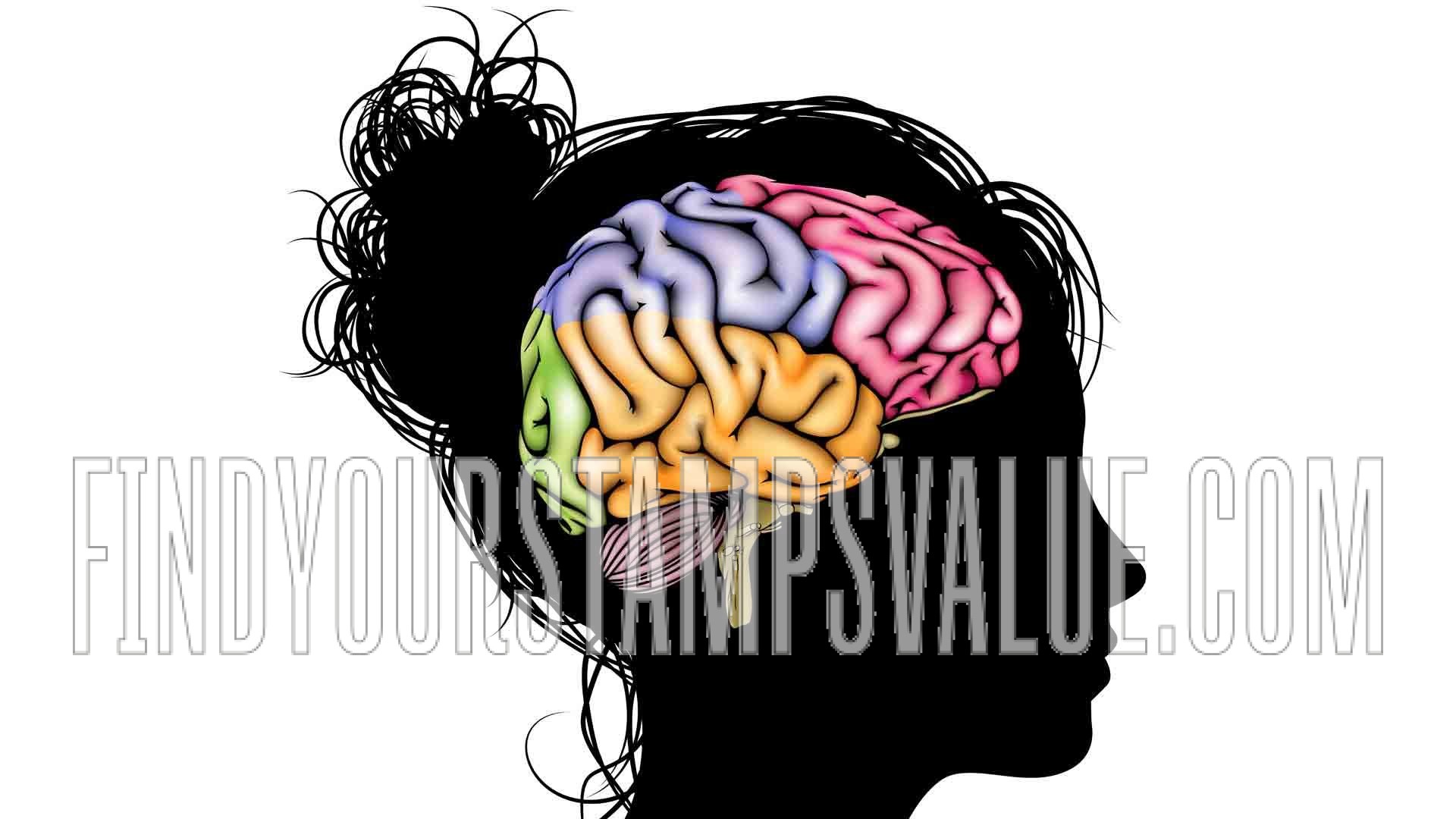 FindYourStampsValue: Neural search test