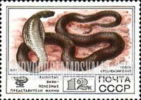 FindYourStampsValue: Russia: USSR, Protected Fauna - Cobra