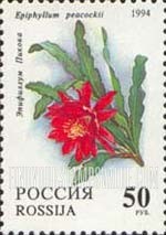 FindYourStampsValue: Russia: Russian Federation, Cactuses - Epiphyllum Peacockii