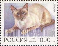 FindYourStampsValue: Russia: Russian Federation, Domestic Cats - Siamese Cat