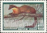 FindYourStampsValue: Russia: USSR, Animals - Pine Marten