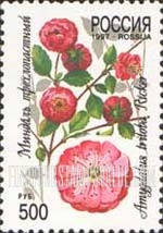 FindYourStampsValue: Russia: Russian Federation, Flowers - Amygdalus Triloba