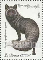 FindYourStampsValue: Russia: USSR, Furry Animals - Dark Silver Fox
