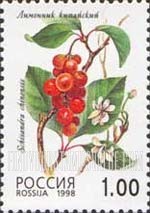 FindYourStampsValue: Russia: Russian Federation, Wild Berries - Schisandra Chinensis