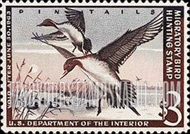FindYourStampsValue: PINTAIL DRAKES