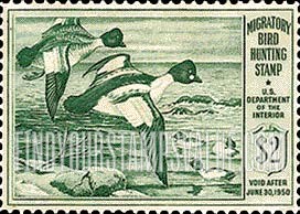 FindYourStampsValue: GOLDENEYE DUCKS