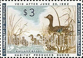 FindYourStampsValue: MALLARD HEN AND DUCKLINGS