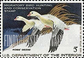 FindYourStampsValue: PAIR OF ROSS'S GEESE
