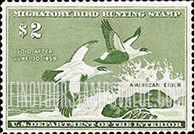 FindYourStampsValue: AMERICAN EIDERS