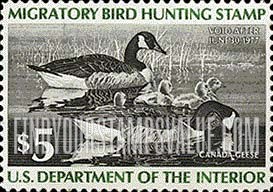 FindYourStampsValue: FAMILY OF CANADA GEESE