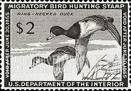 FindYourStampsValue: RING-NECKED DUCKS