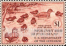 FindYourStampsValue: FAMILY OF RUDDY DUCKS