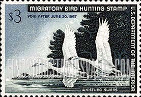 FindYourStampsValue: WHISTLING SWANS