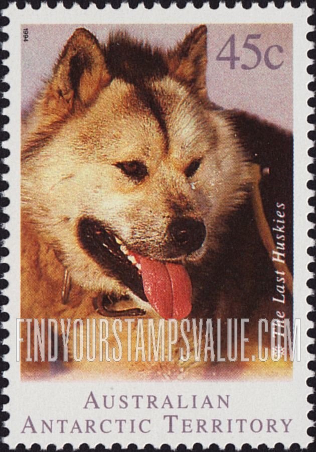 FindYourStampsValue: AUSTRALIAN ANTARCTIC TERRITORY - The Last Huskies: Dog up close, vertical