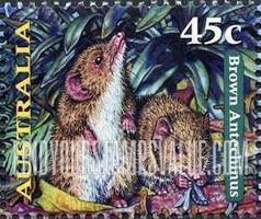 FindYourStampsValue: Nocturnal Animals: Brown antechinus